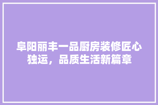 阜阳丽丰一品厨房装修匠心独运，品质生活新篇章