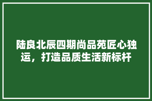 陆良北辰四期尚品苑匠心独运，打造品质生活新标杆