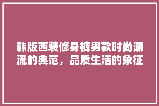 韩版西装修身裤男款时尚潮流的典范，品质生活的象征