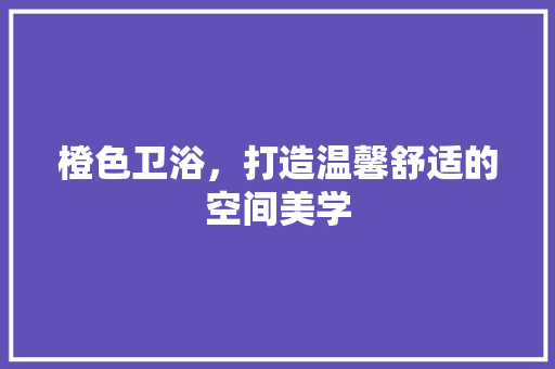 橙色卫浴，打造温馨舒适的空间美学