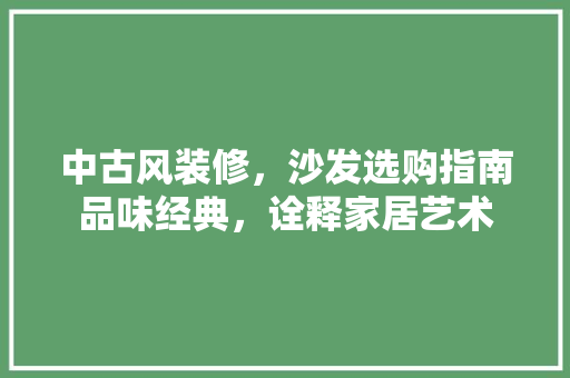 中古风装修，沙发选购指南品味经典，诠释家居艺术