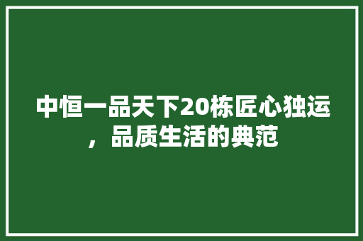 中恒一品天下20栋匠心独运，品质生活的典范