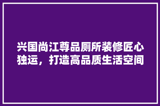 兴国尚江尊品厕所装修匠心独运，打造高品质生活空间
