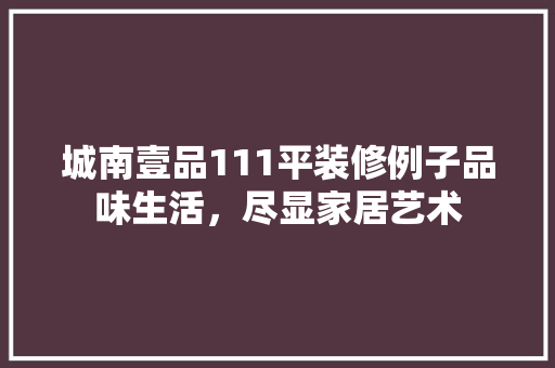 城南壹品111平装修例子品味生活，尽显家居艺术