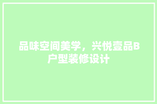 品味空间美学，兴悦壹品B户型装修设计