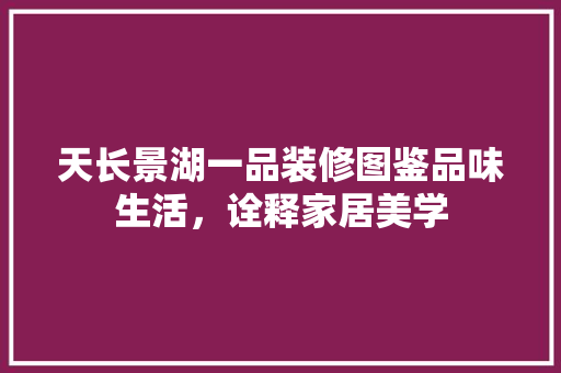 天长景湖一品装修图鉴品味生活，诠释家居美学