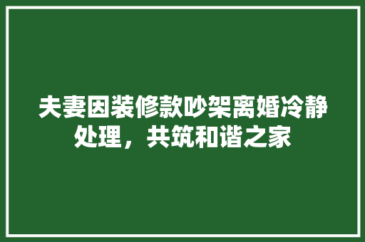 夫妻因装修款吵架离婚冷静处理，共筑和谐之家