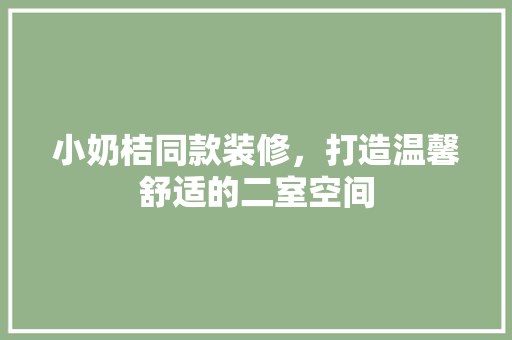 小奶桔同款装修，打造温馨舒适的二室空间
