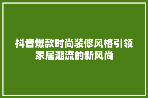 抖音爆款时尚装修风格引领家居潮流的新风尚  第1张