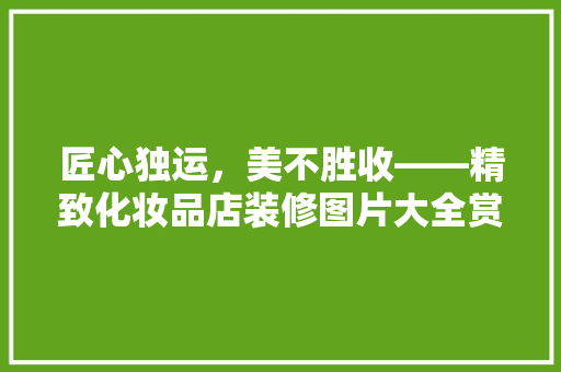 匠心独运，美不胜收——精致化妆品店装修图片大全赏析