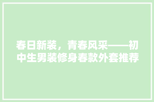 春日新装，青春风采——初中生男装修身春款外套推荐