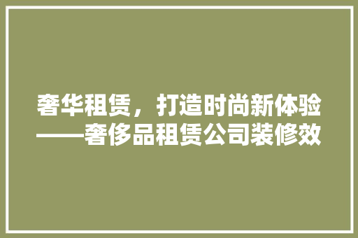 奢华租赁，打造时尚新体验——奢侈品租赁公司装修效果图背后的设计智慧