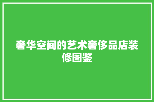 奢华空间的艺术奢侈品店装修图鉴