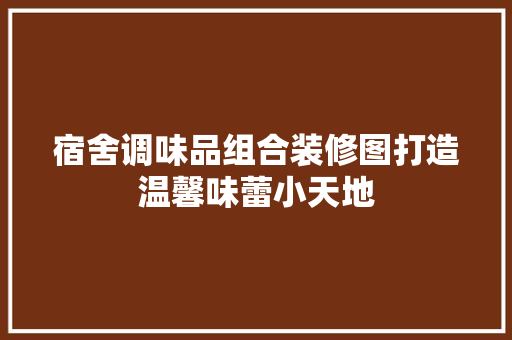 宿舍调味品组合装修图打造温馨味蕾小天地