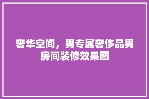 奢华空间，男专属奢侈品男房间装修效果图