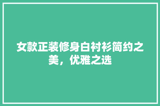 女款正装修身白衬衫简约之美，优雅之选