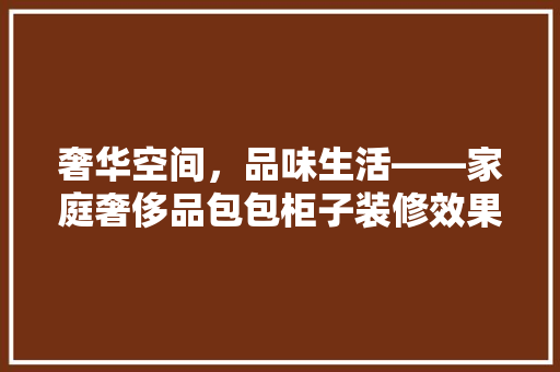 奢华空间，品味生活——家庭奢侈品包包柜子装修效果图