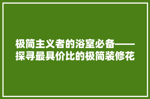 极简主义者的浴室必备——探寻最具价比的极简装修花洒