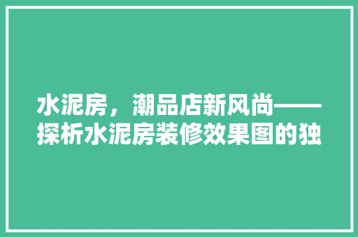 水泥房，潮品店新风尚——探析水泥房装修效果图的独特魅力