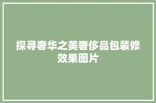 探寻奢华之美奢侈品包装修效果图片