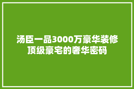 汤臣一品3000万豪华装修顶级豪宅的奢华密码