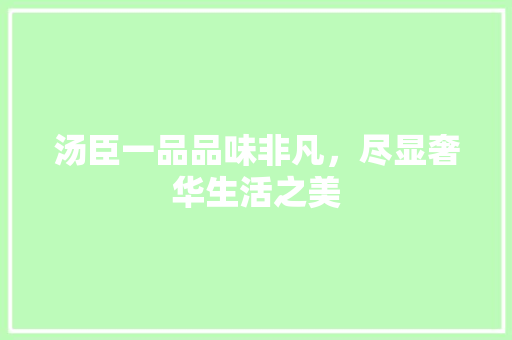 汤臣一品品味非凡，尽显奢华生活之美