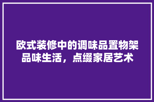 欧式装修中的调味品置物架品味生活，点缀家居艺术  第1张