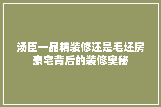 汤臣一品精装修还是毛坯房豪宅背后的装修奥秘