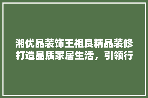 湘优品装饰王祖良精品装修打造品质家居生活，引领行业新风尚