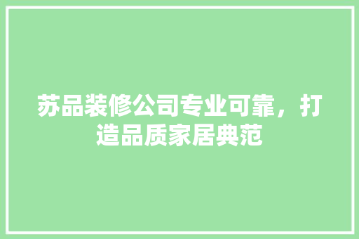 苏品装修公司专业可靠，打造品质家居典范  第1张