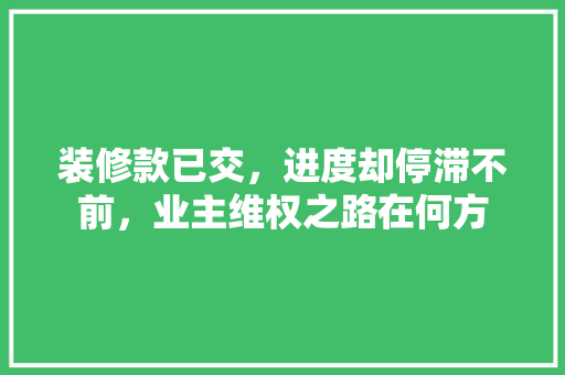 装修款已交，进度却停滞不前，业主维权之路在何方