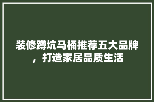 装修蹲坑马桶推荐五大品牌，打造家居品质生活