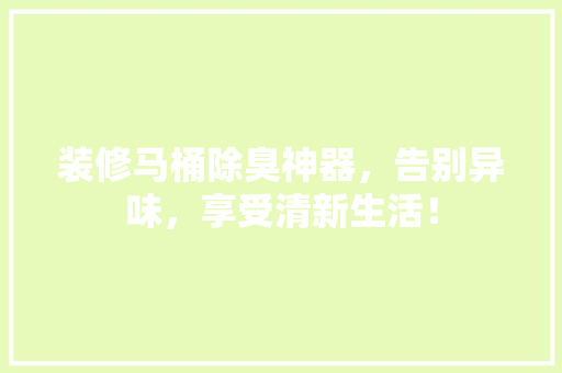 装修马桶除臭神器，告别异味，享受清新生活！