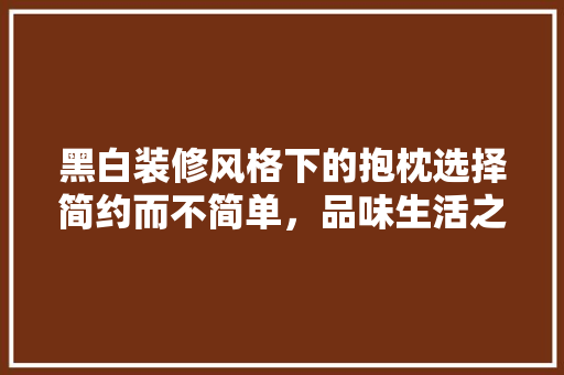 黑白装修风格下的抱枕选择简约而不简单，品味生活之美