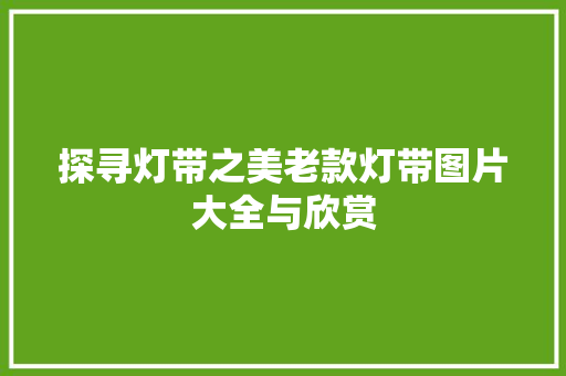 探寻灯带之美老款灯带图片大全与欣赏