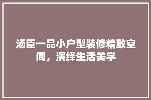 汤臣一品小户型装修精致空间，演绎生活美学