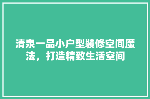 清泉一品小户型装修空间魔法，打造精致生活空间