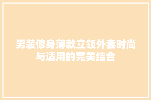 男装修身薄款立领外套时尚与适用的完美结合
