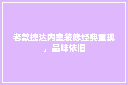 老款捷达内室装修经典重现，品味依旧