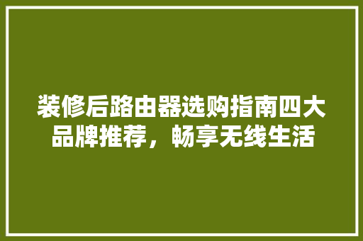 装修后路由器选购指南四大品牌推荐，畅享无线生活