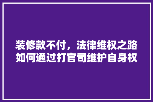 装修款不付，法律维权之路如何通过打官司维护自身权益
