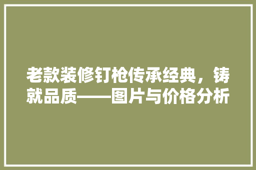 老款装修钉枪传承经典，铸就品质——图片与价格分析