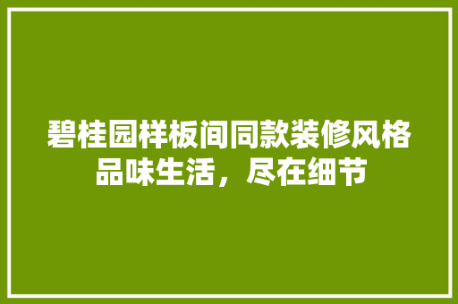 碧桂园样板间同款装修风格品味生活，尽在细节