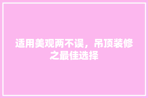 适用美观两不误，吊顶装修之最佳选择