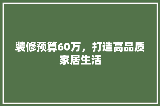 装修预算60万，打造高品质家居生活