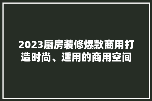 2023厨房装修爆款商用打造时尚、适用的商用空间  第1张