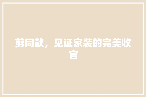 剪同款，见证家装的完美收官