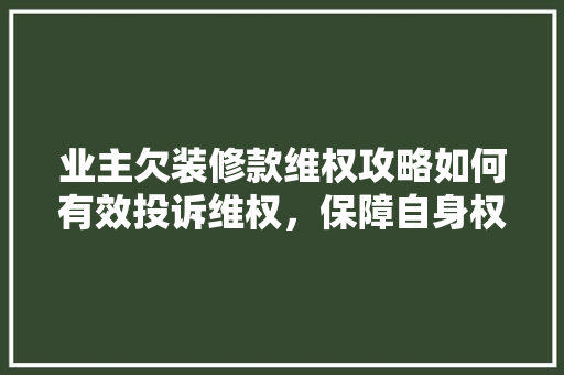 业主欠装修款维权攻略如何有效投诉维权，保障自身权益