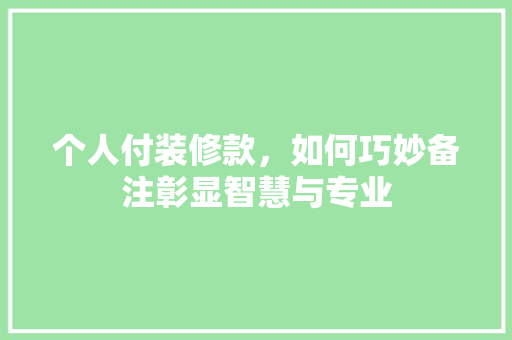 个人付装修款，如何巧妙备注彰显智慧与专业