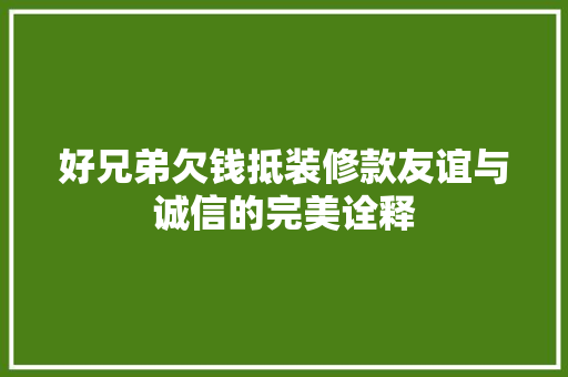 好兄弟欠钱抵装修款友谊与诚信的完美诠释